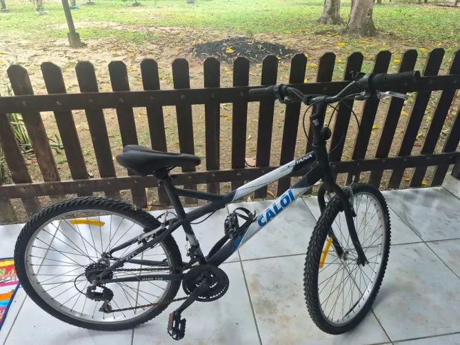Bicicleta