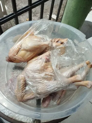 Galinhas caipiras legítimas vivas e/ou abatidas 