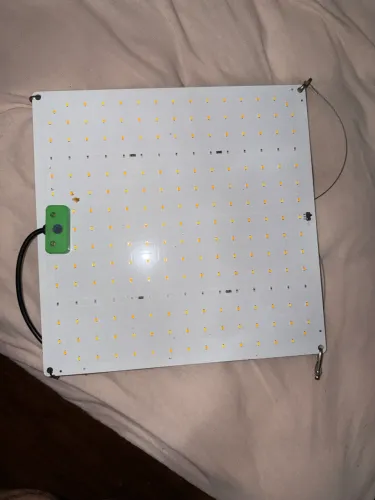Painel LED Cultivo Indoor - Vegetação e Floração - Pouco Uso