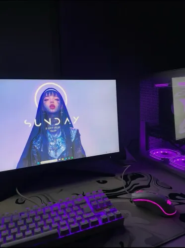 PC gamer