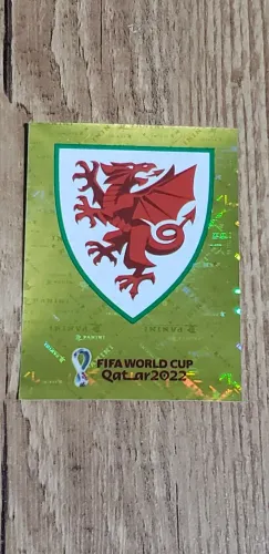 Figurinha copa 2022 brilhante 