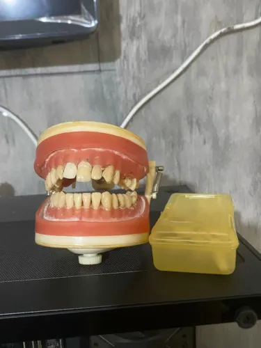 MANEQUIM ODONTOLÓGICO