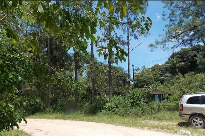 Sítio com 2 dormitórios à venda, 173000 m² por R$ 951.500,00 - Zona Rural. - Juquiá/SP