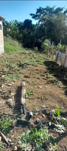 TERRENO 5x50