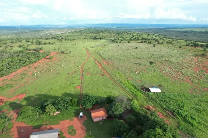 CÓD456 Fazenda 800 ha Dupla Aptidão | Rio Verde/MS