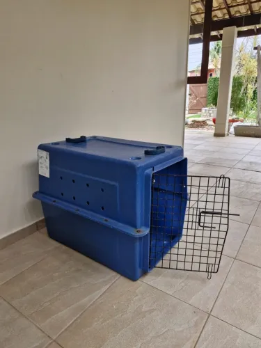 Caixa de Transporte para Cão Médio Porte 75x50x62 cm resistente