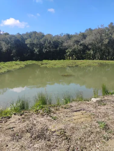 Chácara em contenda . Araucária