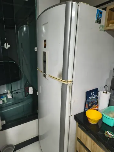 Vendo geladeira fros free $:450,00 tem que trocar a borracha do freezer