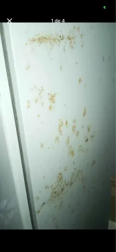 Vendo essa geladeira ela está funcionando nunca foi pra o concerto