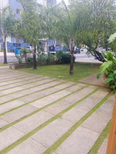 Limpeza de terrenos e corte de grama