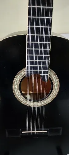 Viola caipira