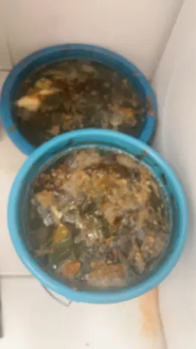 Banho de ervas com axé para limpeza espiritual