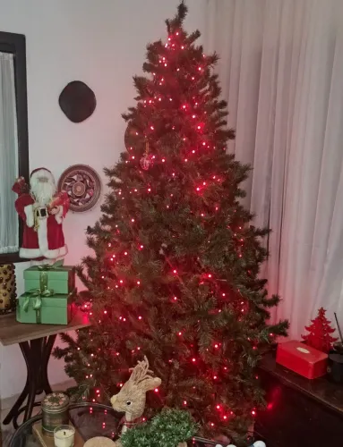 Árvore de Natal sem enfeites