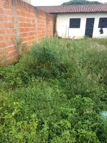 Ofereço meus serviços gerais