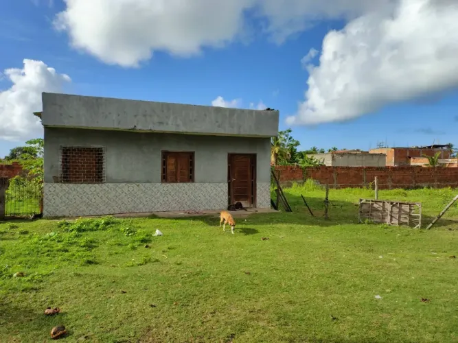 Chácara de 6.000m² na Rodovia dos Náufragos - Robalo.