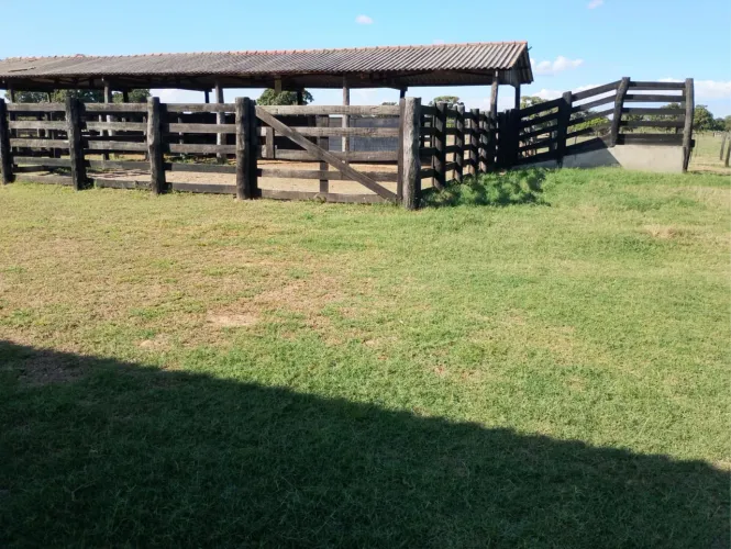 FAZENDA ESPETACULAR PERTO CUIABÁ