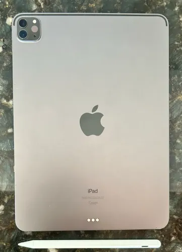 iPad Pro 11 Pol. 256 Gb (2ª Ger.)