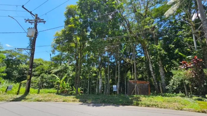 Lote a venda com 2300 m² - Fazendinha Penedo - Itatiaia - RJ