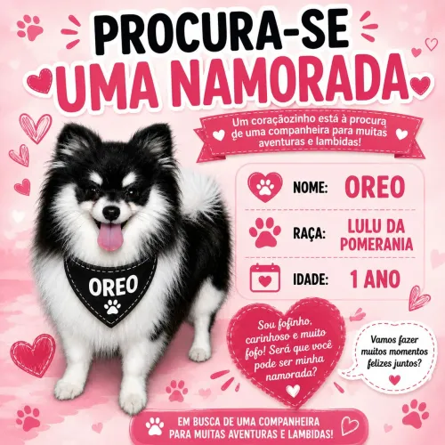 Procuro uma namoradinha
