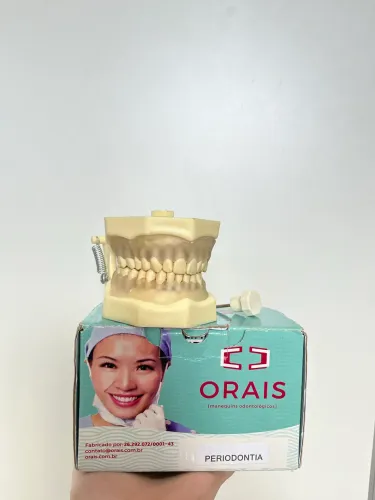 Manequim odontológico