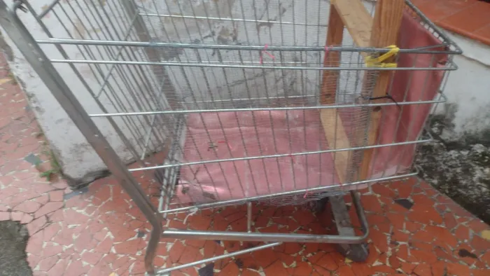 Carrinho de camelô $40 desapego 