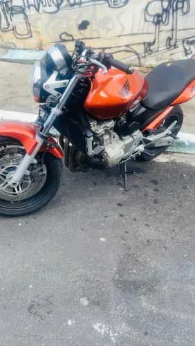 Hornet linda