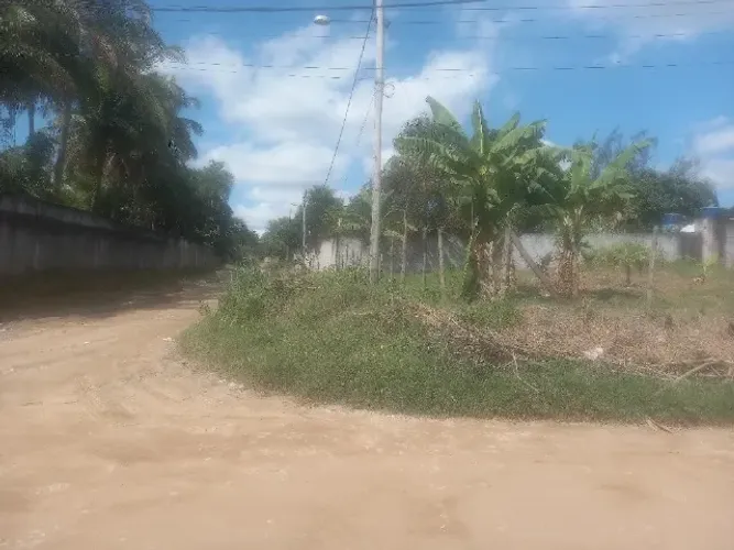 3 terrenos com mais de 1500 metros quadrados