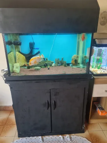 Aquário completo 226 L