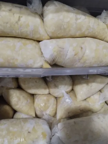 polpa de cupuaçu cortados ,só a massa sem mistura sem conservantes diretamente do produtor