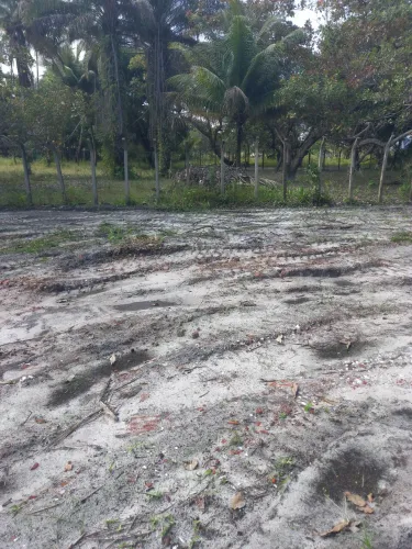 Vendo terreno na ilha