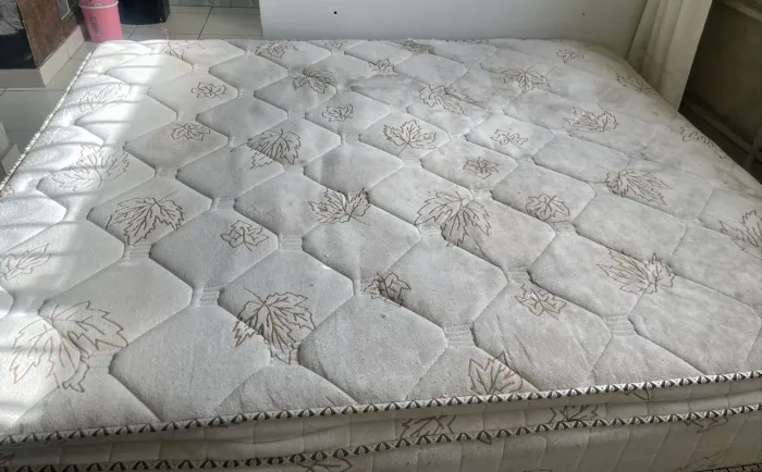 Cama queen 