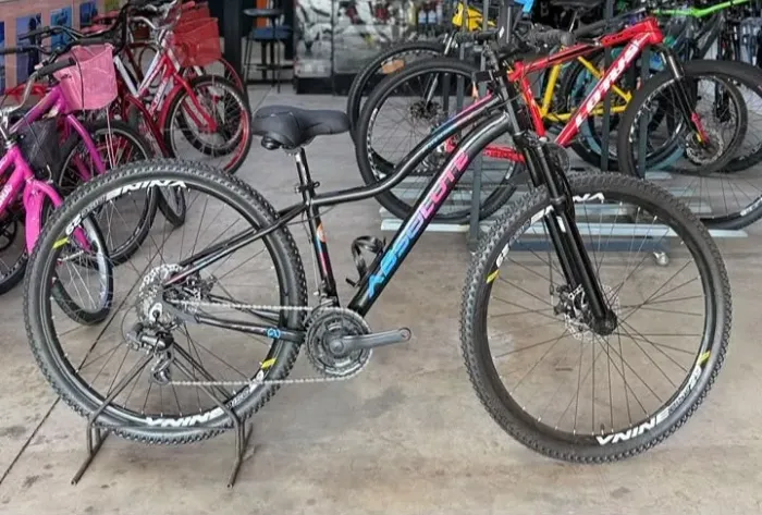 Bicicleta feminina