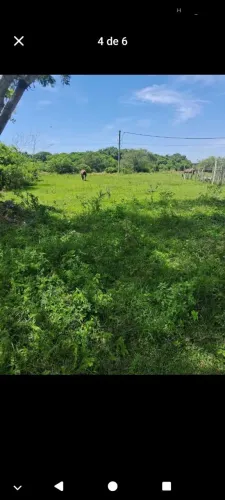 ? REALIZE O SONHO DA CASA PRÓPRIA NA REGIÃO DOS LAGOS! ?