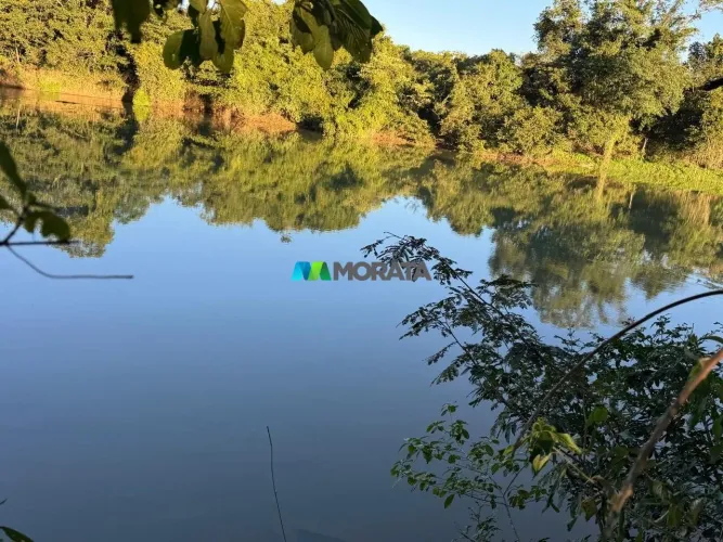 FAZENDA A VENDA - 157 HECTARES - POMPÉU (MG)