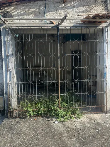 Portão grade