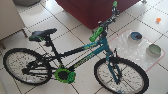 Bicicleta