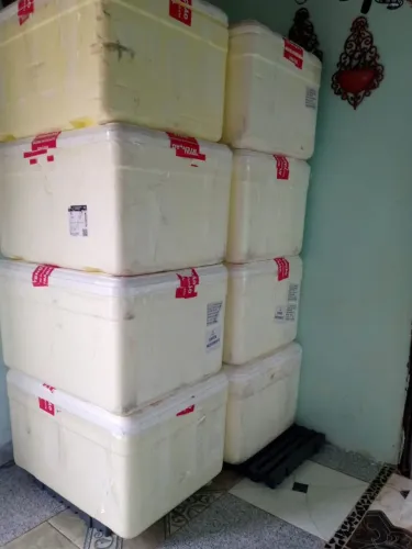 Isopor / Caixas térmicas para transporte de alimentos