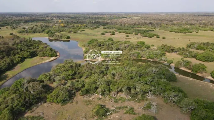 Fazenda- 10.700 HA- Pantanal Alto- Nhecolândia- MS