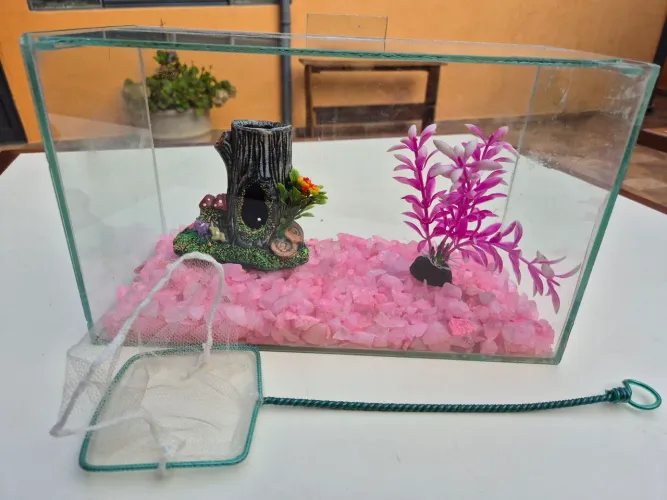 Aquário pequeno com decoração