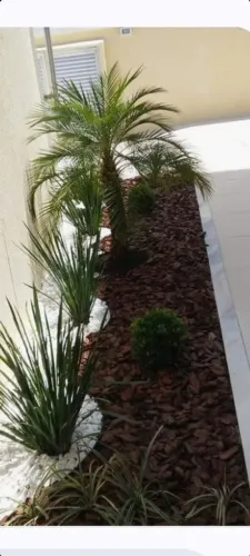 Jardim com pedras brancas e plantas, fazemos todo tipo de paisagismo e jardim.....