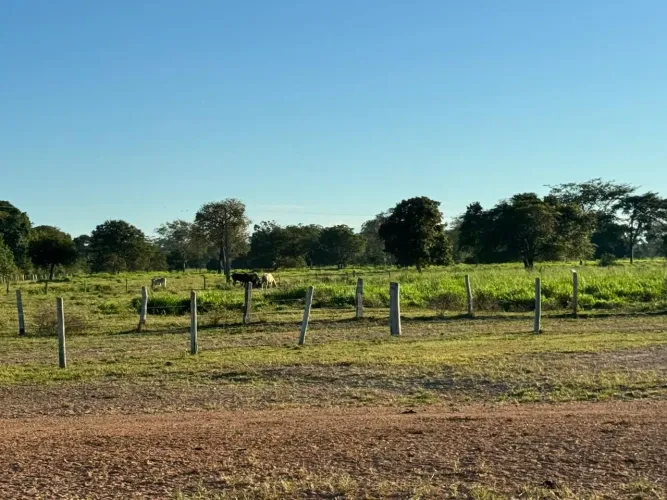 Fazenda 15.136hec MT. Aceita precatório no pagamento 600 milhões + deságio do precatório.