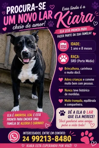 DOAÇÃO DE CACHORO pint monster 