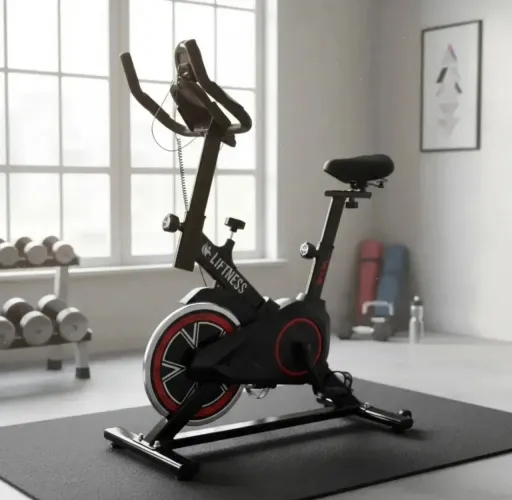 Bicicleta ergométrica