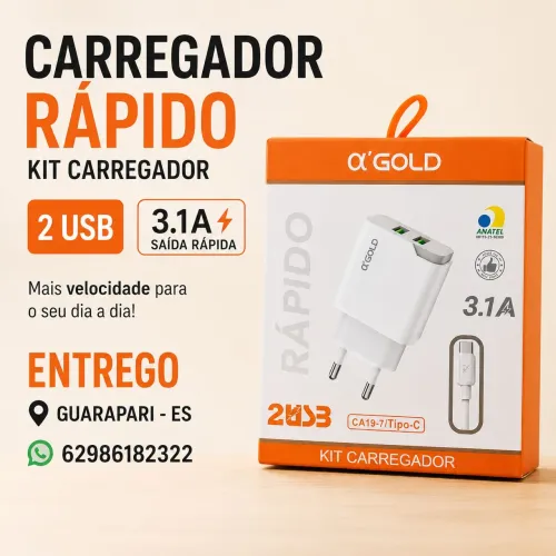 Carregador Tipo C 15W Novo Lacrado