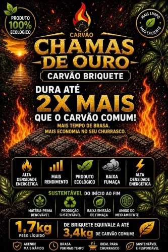 Carvão Ecológico - Briquete