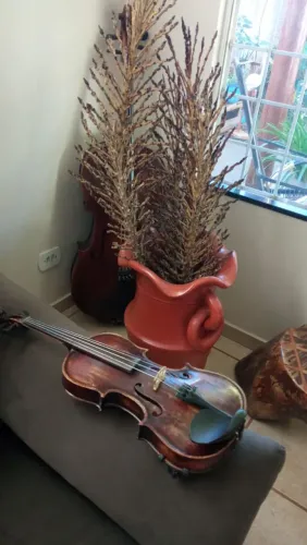 Violino antigo Gianini