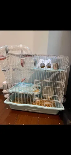 Gaiola hamster Safari