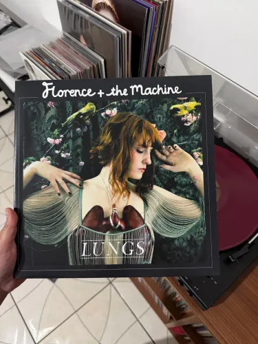 Florence & the machine - Lungs disco de vinil LP