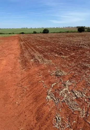 CANA - Área Rural 32,69 Alqueires