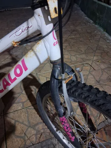 Bicicleta Ceci caloi original aro 24
